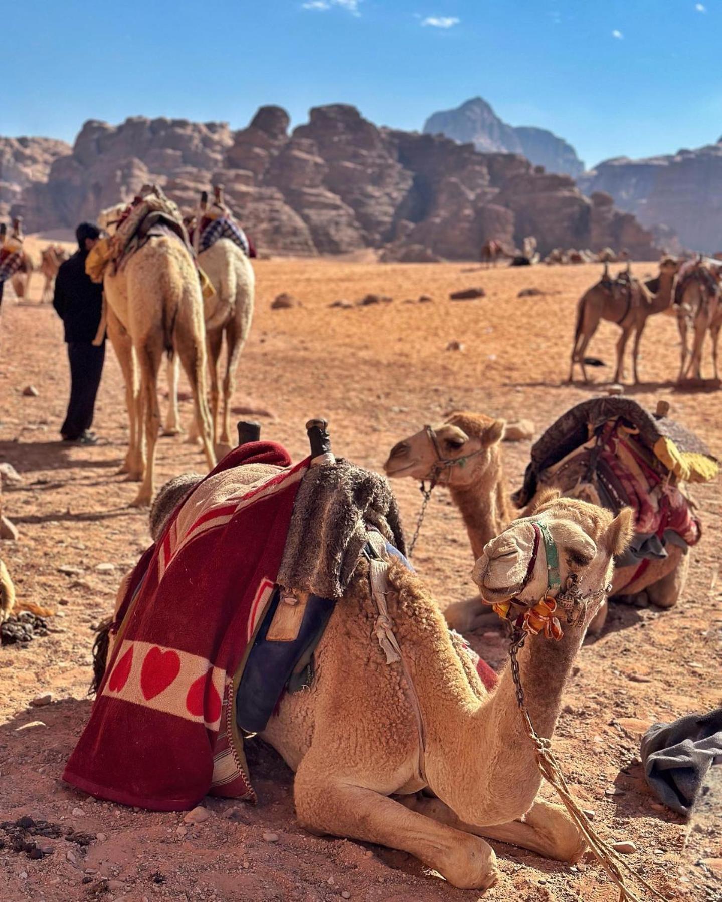 Daniela Camp Wadi Rum Exteriér fotografie