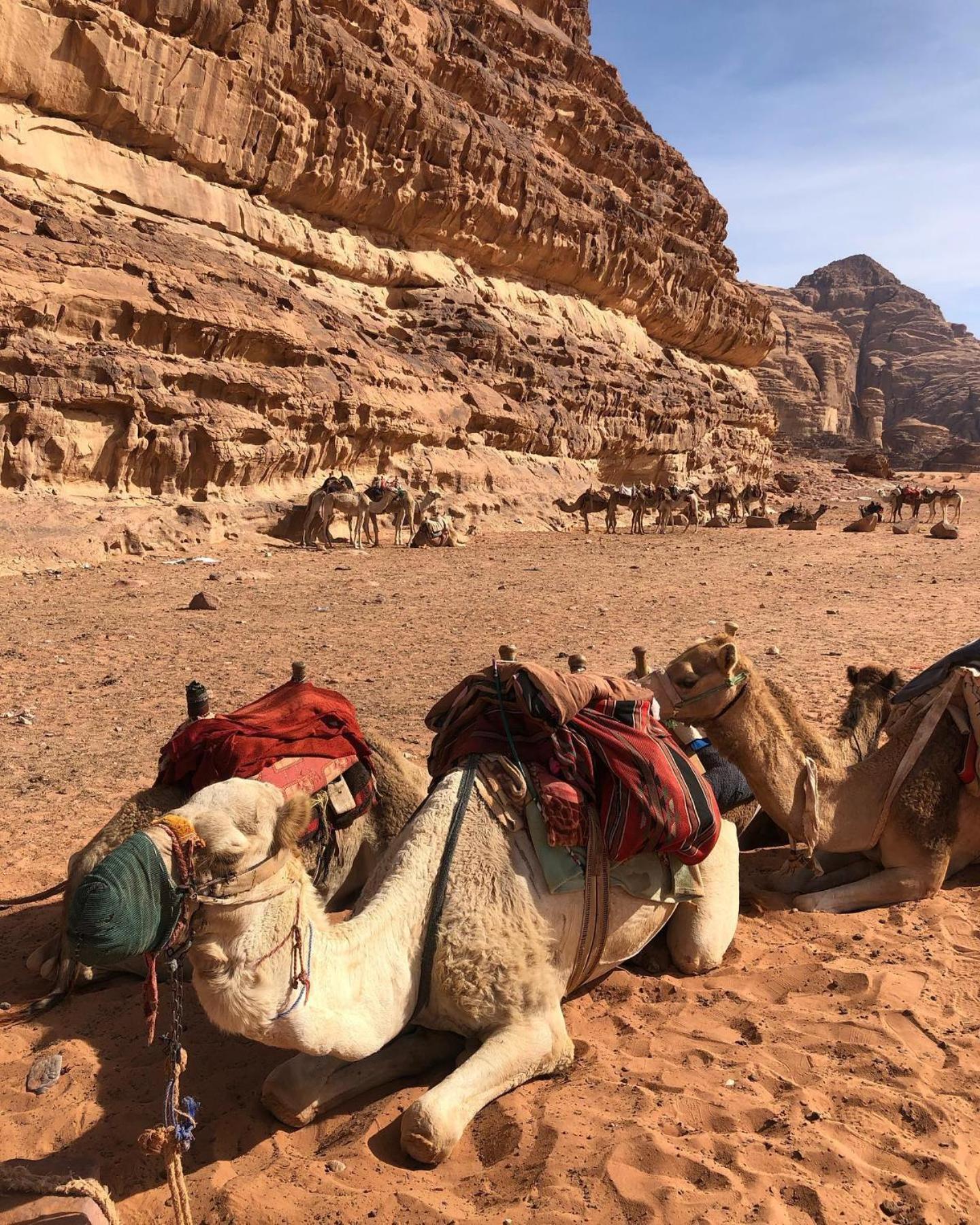 Daniela Camp Wadi Rum Exteriér fotografie
